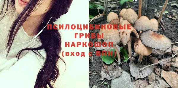винт Новокубанск
