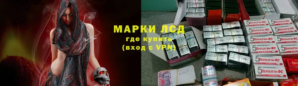спайс Нея