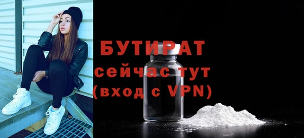 ешки Новодвинск