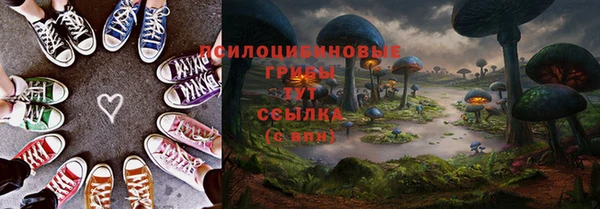 винт Новокубанск