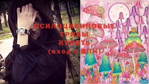 ешки Новодвинск