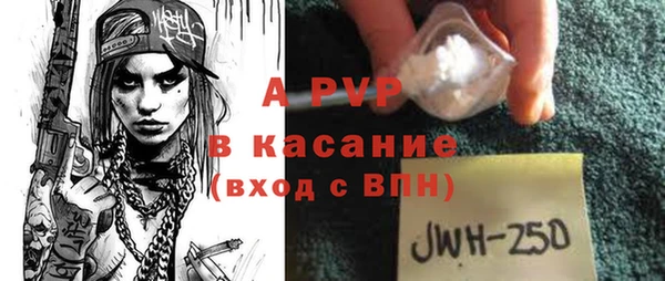 ешки Новодвинск