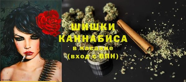 ешки Новодвинск