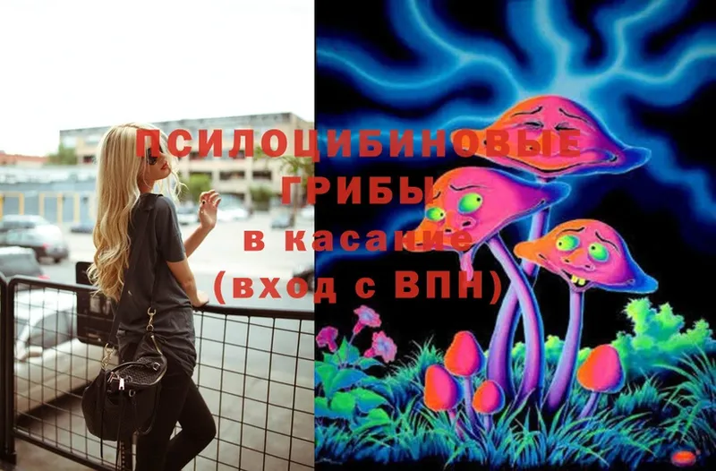 Галлюциногенные грибы Cubensis  что такое   Калтан 